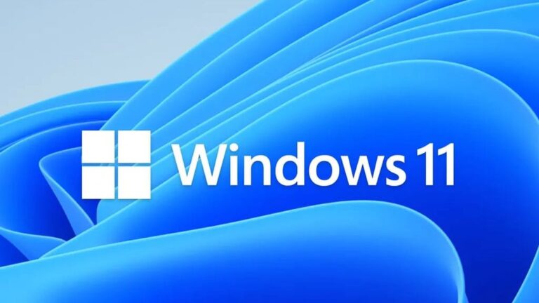 Windows 11